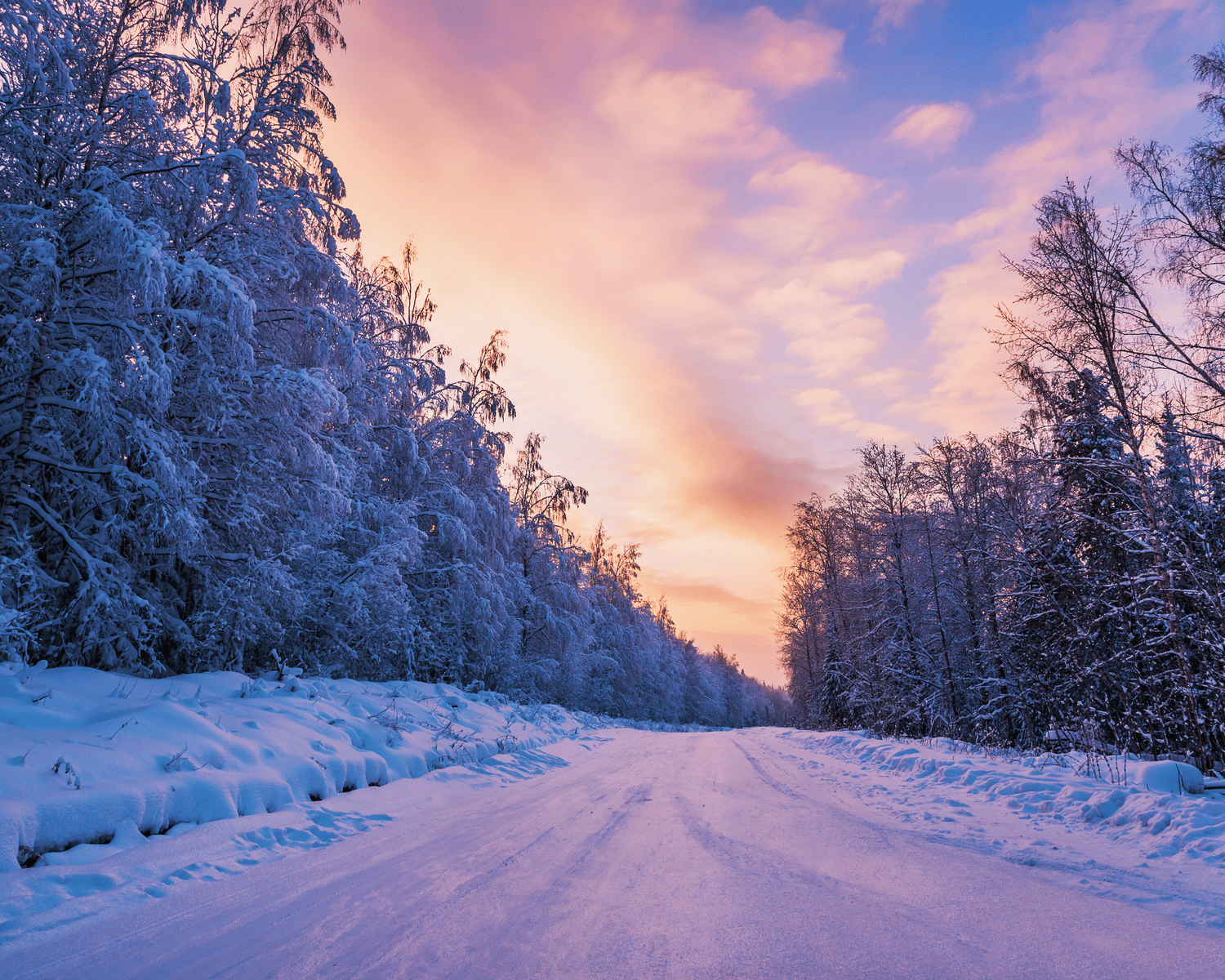 cesta-a-stromy-zimni-krajina